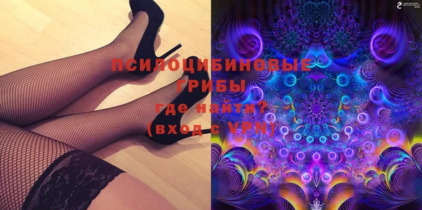 ECSTASY Алзамай