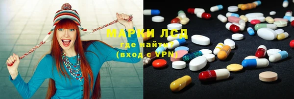 ECSTASY Алзамай