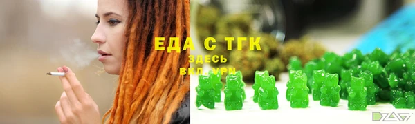 ECSTASY Алзамай