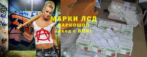 ECSTASY Алзамай