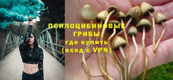 ECSTASY Алзамай