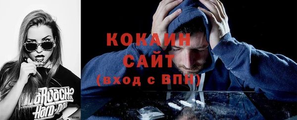 ECSTASY Алзамай